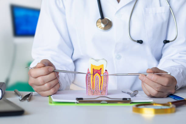 Best Emergency Treatment for Dental Infections or Abscesses in Beverly Hills, TX